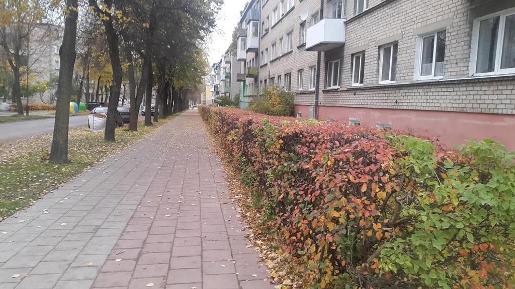 Apartment For You Šiauliai Buitenkant foto